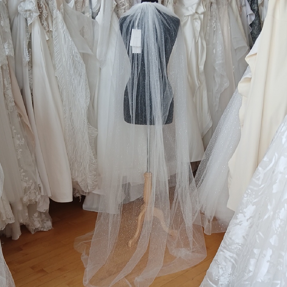 Sparkly Tulle Veil